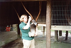 2000 - Australie 115T